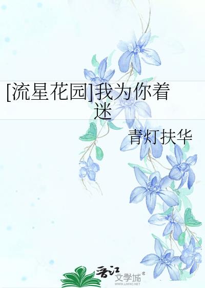 [流星花园]我为你着迷