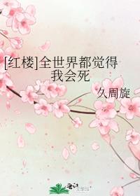 [红楼]全世界都觉得我会死